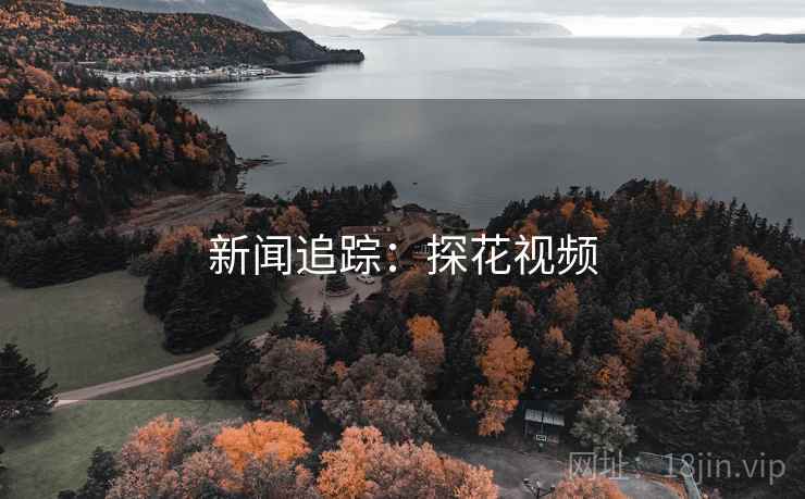 新闻追踪：探花视频