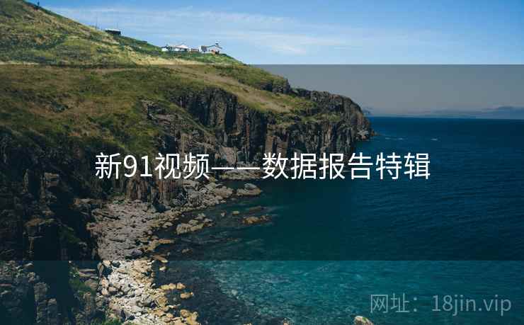 新91视频——数据报告特辑