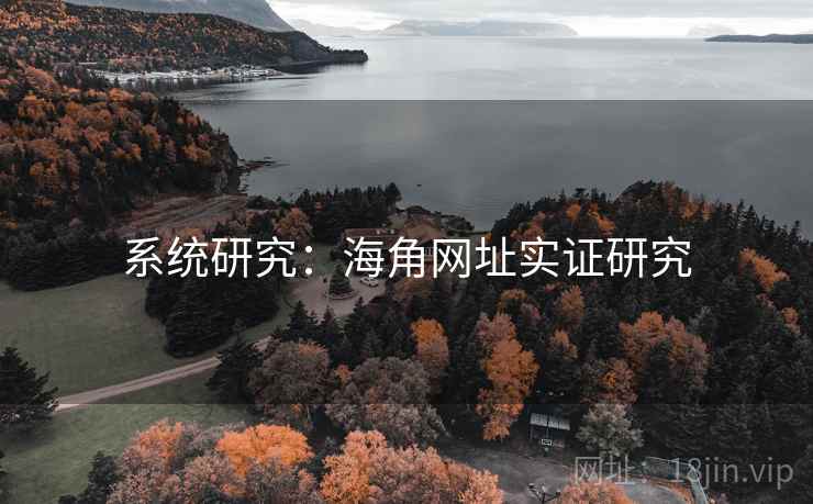 系统研究：海角网址实证研究