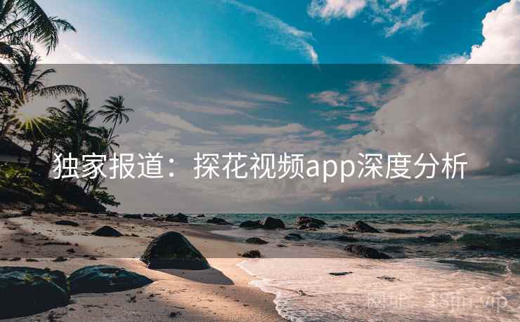 独家报道：探花视频app深度分析