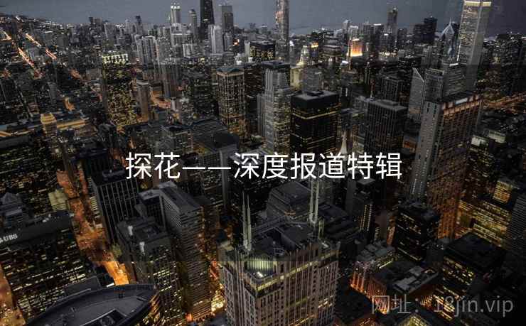 探花——深度报道特辑